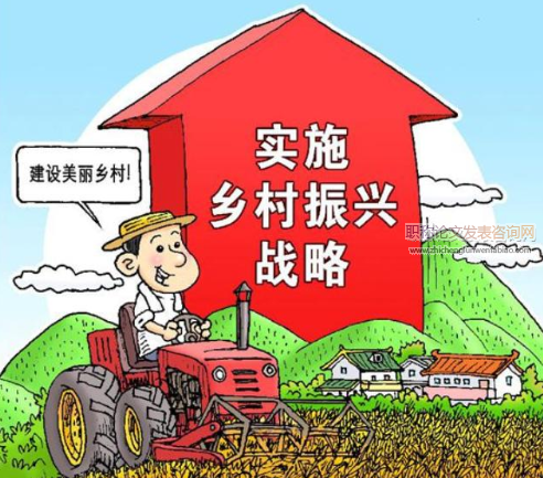 鄉村振興倡議下實施鄉村管理的策略研究
