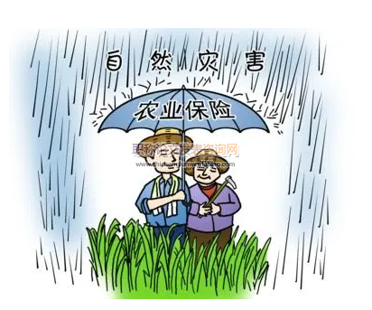 山西省政策性農業保險現狀分析與發展路徑探究