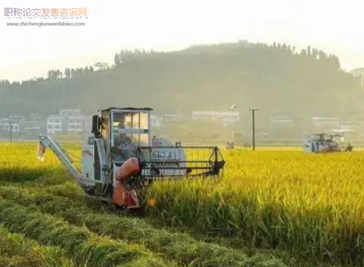 論小農戶與現代農業的關系