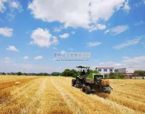 稻茬麥播種免耕重耙作業技術應用研究