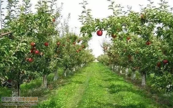 http://www.035110086.com/hzqk/8337.html