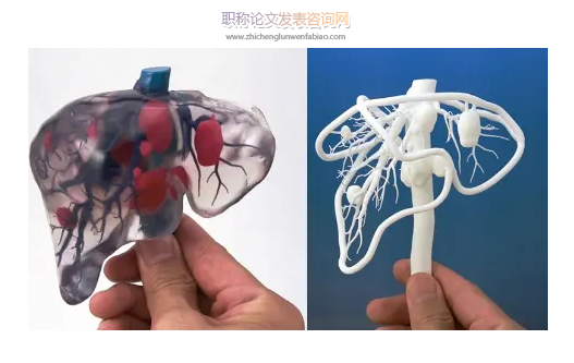3D醫學打印在大學生創新創業中的探索與實踐