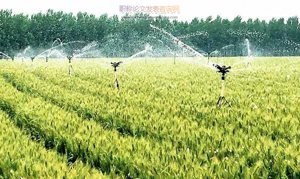 滇中受水區(qū)農(nóng)業(yè)節(jié)水潛力估算與分析