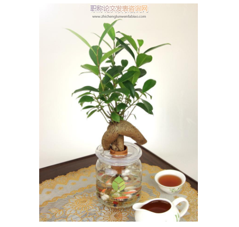 人參水培種植技術要點及其應用優勢分析