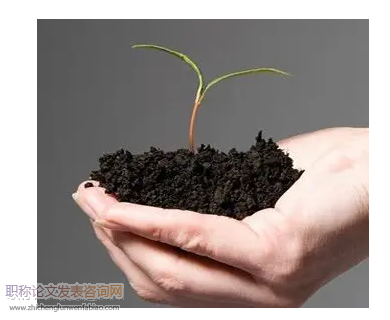 有機農(nóng)業(yè)種植土壤的培肥技術(shù)