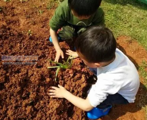 種植活動中幼兒品格啟蒙教育芻議