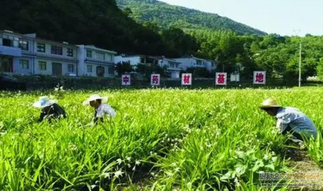 農業供給側改革背景下山東省中草藥產業現狀及發展對策