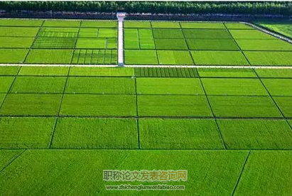 不同類型農戶對農地整治權屬調整認知差異及其成因