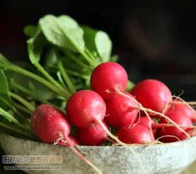 鮮食水果型蘿卜優質種植技術研究