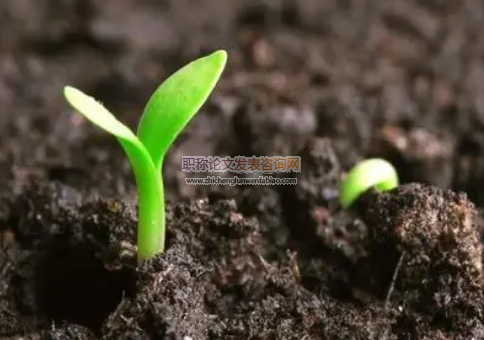 新農科背景下種子科學與工程專業發展探索