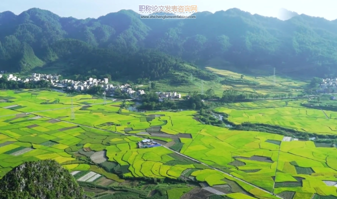 綠色農業發展存在的問題與對策探討