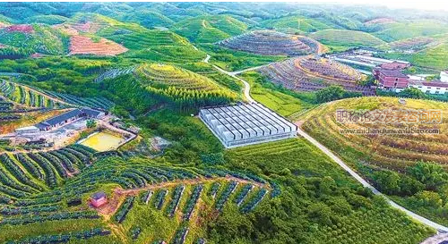 我國高等教育農(nóng)科類應(yīng)用型人才培養(yǎng)途徑