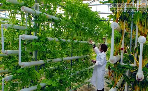 H省農業經濟發展存在的問題及對策研究