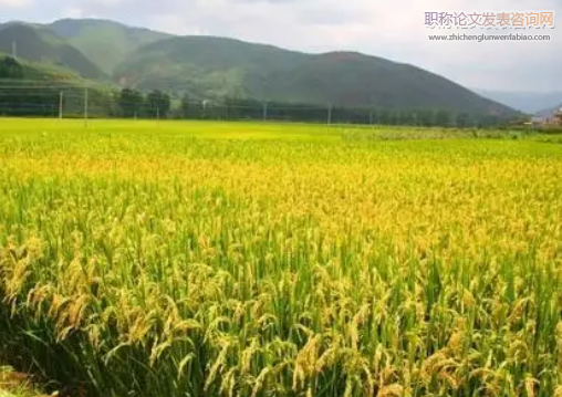 農業經濟與農業生態環境協同發展問題及對策