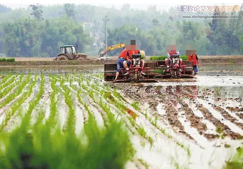 試論農業產業結構調整對農業經濟增長的作用