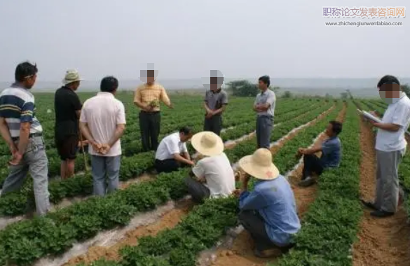 基層農業技術推廣存在的問題與優化措施