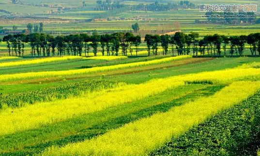 我國發展綠色經濟新探索的總體思路探索