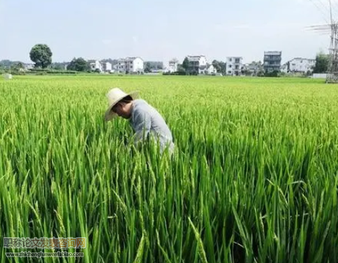 關于鄉鎮農業技術推廣工作中存在的問題和對策分析