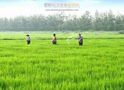 綠色經濟視角下新時期經濟發展問題探索