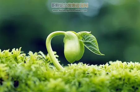 淺析農(nóng)業(yè)育種與栽培技術的創(chuàng)新