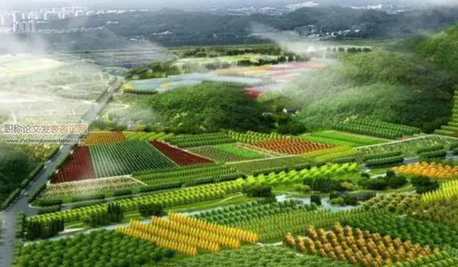 新農村建設環境下農業經濟管理的優化
