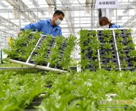 農業技術應用的制度障礙及對策探討