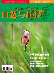 自然與科技論文發表指導